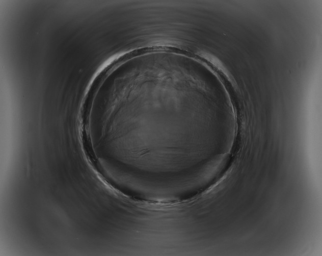 X0000086731024200704131102