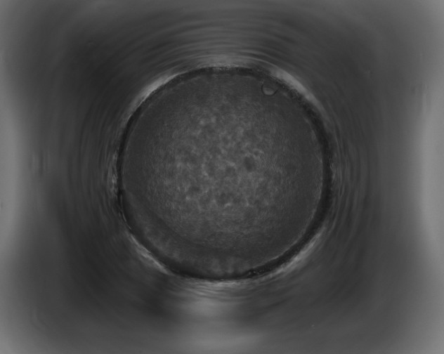X0000086731025200704131102