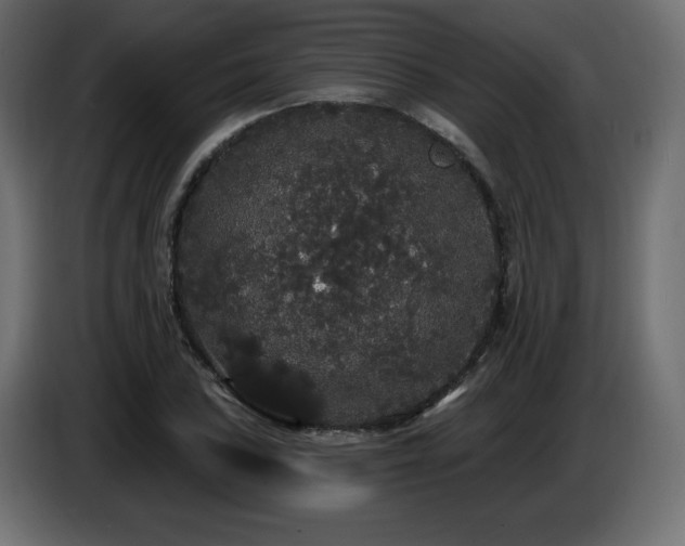 X0000086731027200704131102