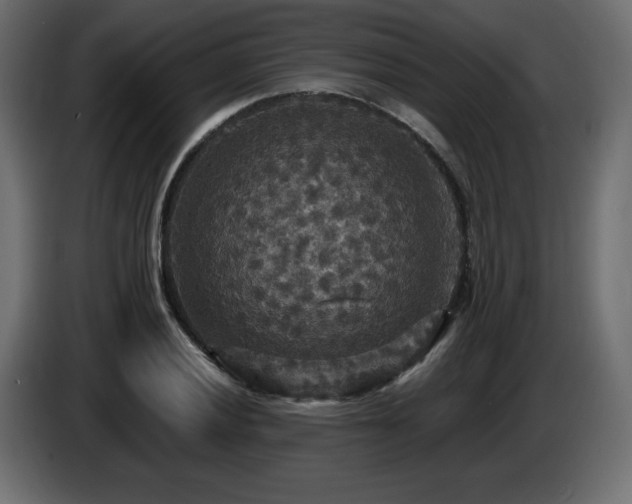 X0000086731028200704131102