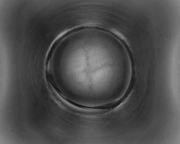 X0000086731029200704131102