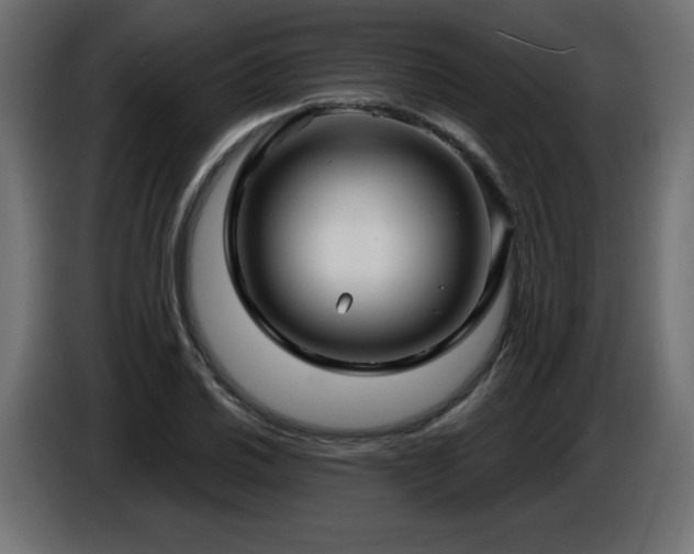 X0000086731030200704131102