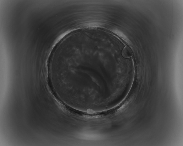 X0000086731031200704131102