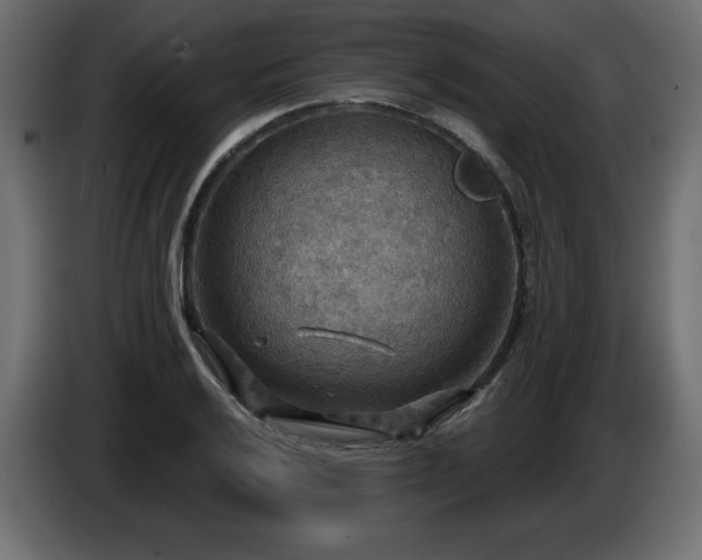 X0000086731032200704131102