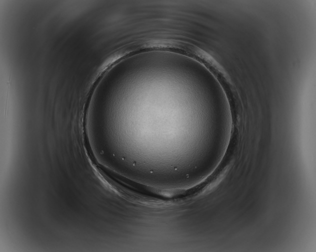X0000086731033200704131102