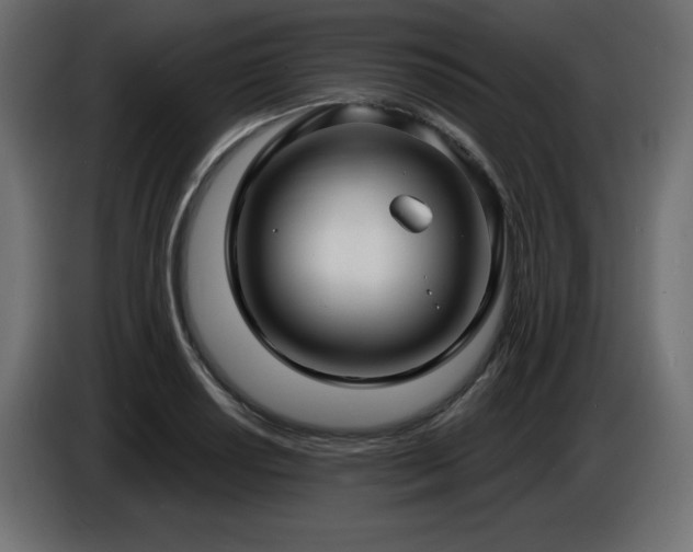 X0000086731034200704131102