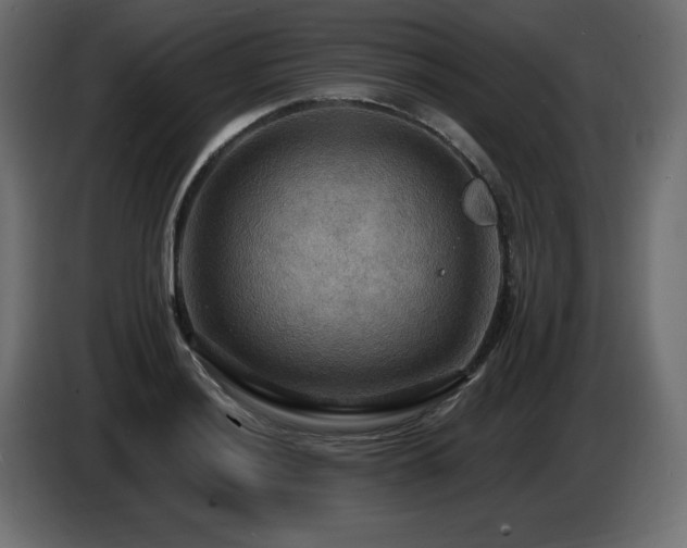 X0000086731036200704131102