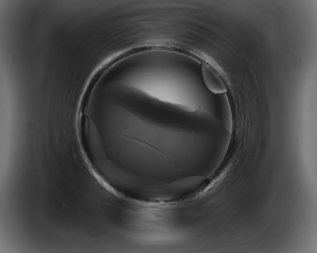 X0000086731037200704131102