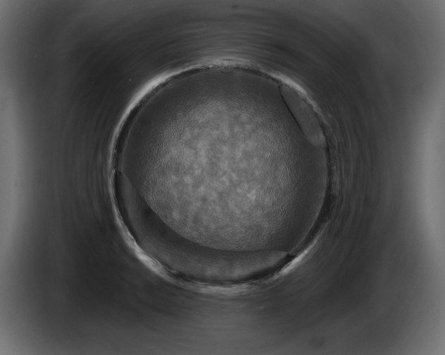 X0000086731038200704131102