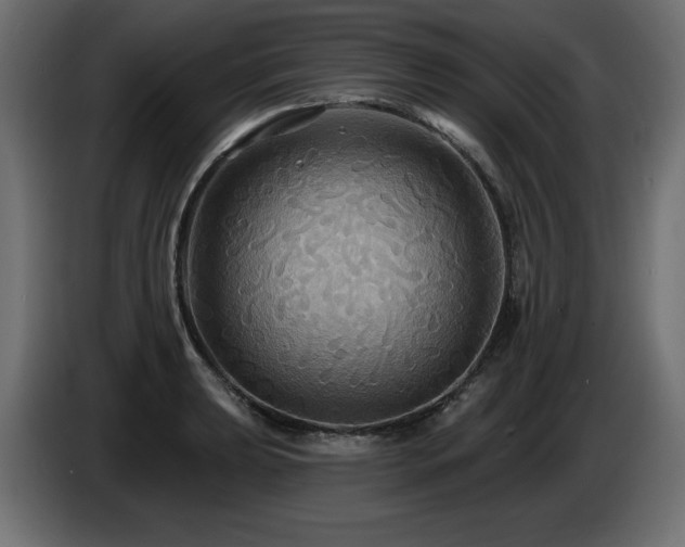X0000086731039200704131102