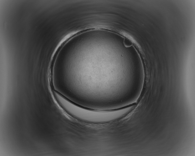 X0000086731040200704131102