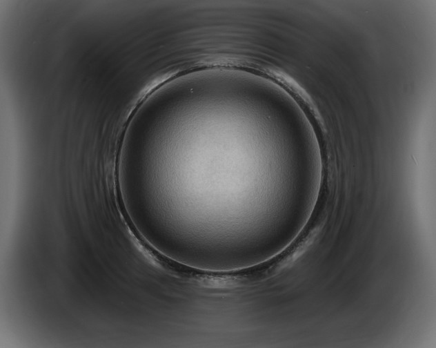 X0000086731041200704131102