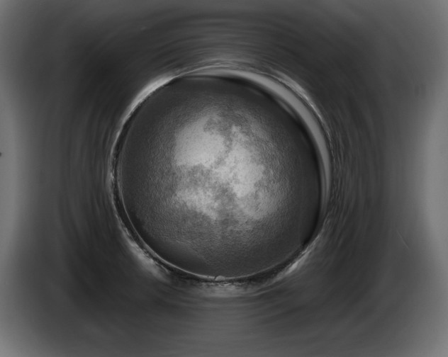 X0000086731042200704131102