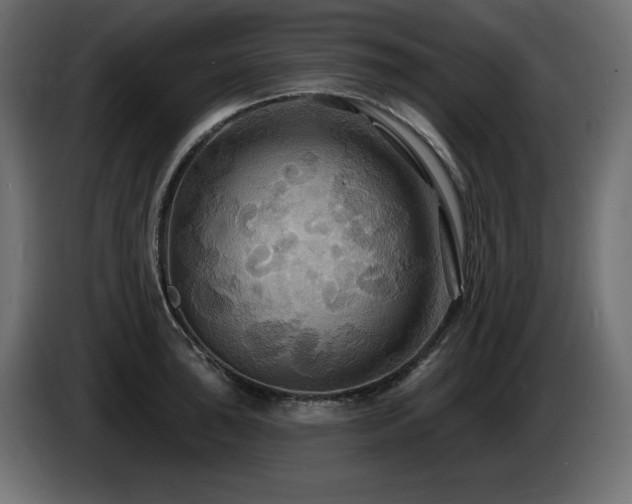 X0000086731043200704131102