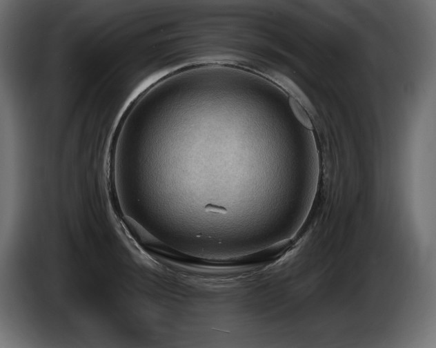 X0000086731044200704131102