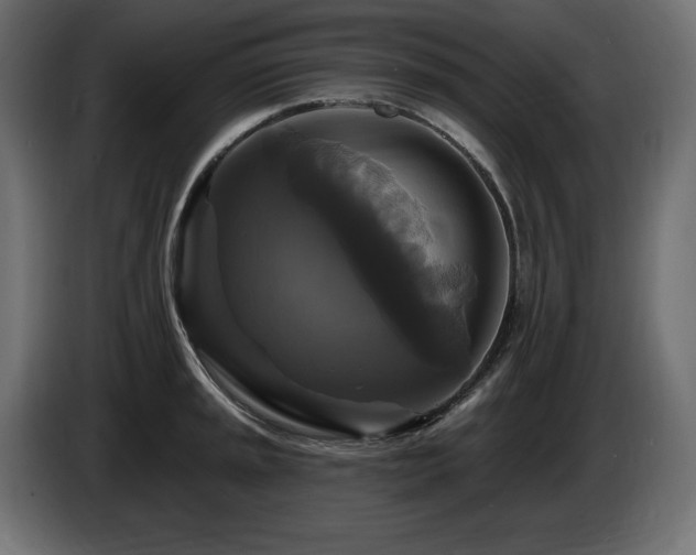 X0000086731045200704131102