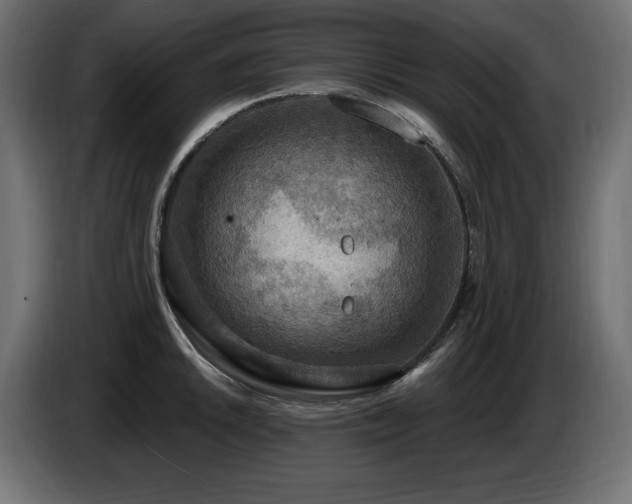 X0000086731046200704131102