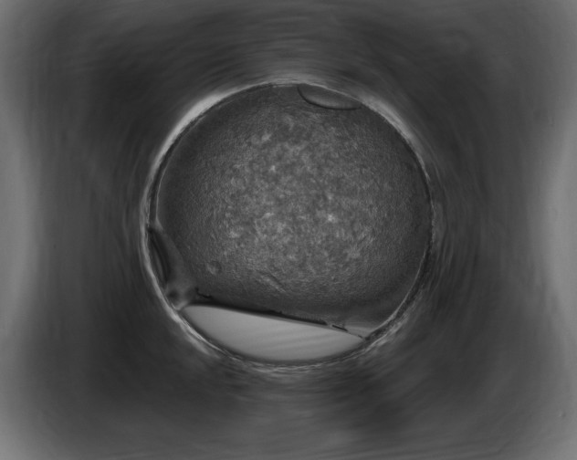 X0000086731048200704131102