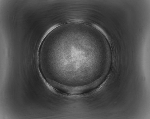 X0000086731050200704131102