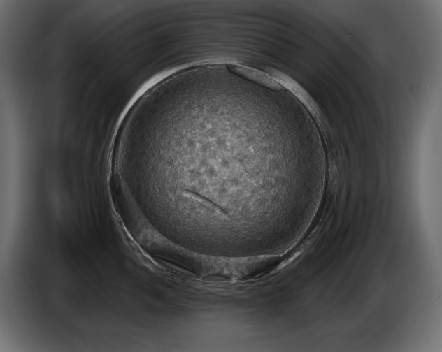 X0000086731052200704131102