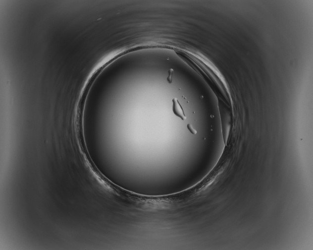 X0000086731053200704131102