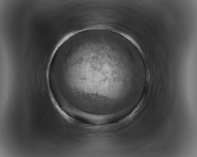 X0000086731054200704131102