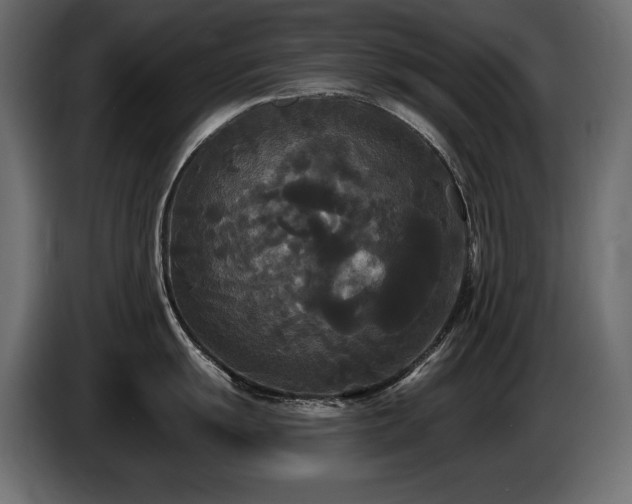 X0000086731055200704131102