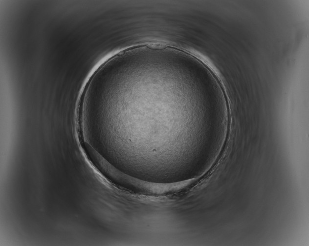 X0000086731056200704131102