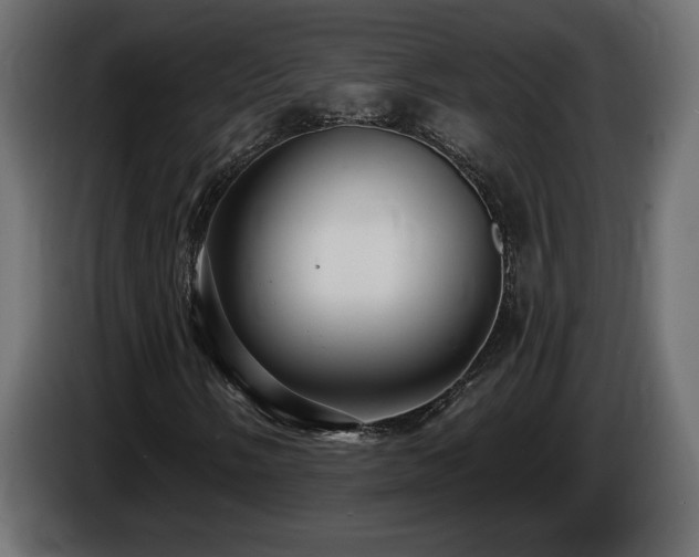 X0000086731058200704131102