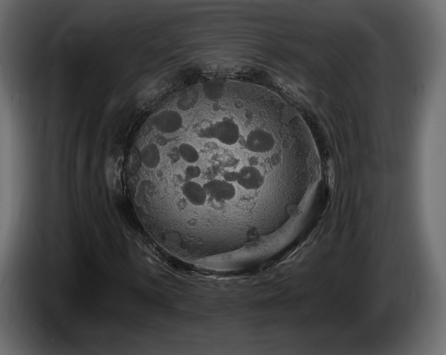 X0000086731059200704131102