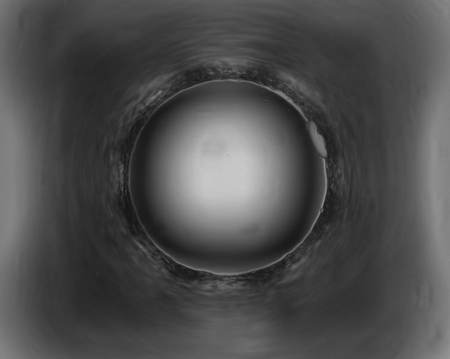 X0000086731061200704131101