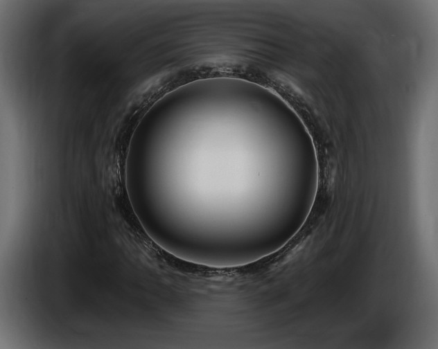 X0000086731062200704131101