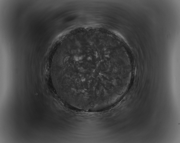 X0000086731063200704131101
