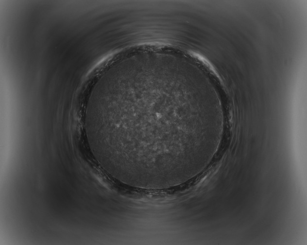 X0000086731064200704131101