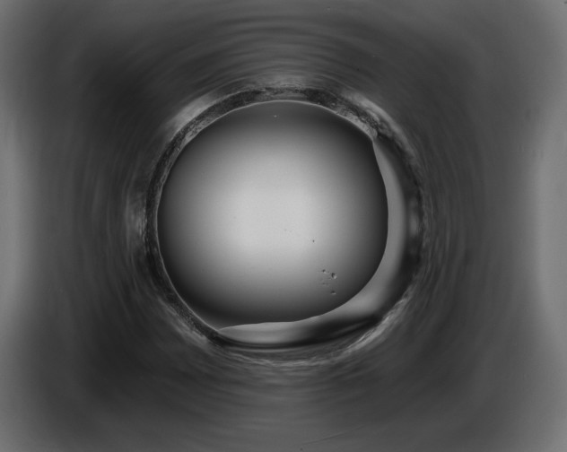 X0000086731065200704131101