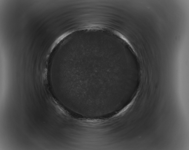 X0000086731066200704131101