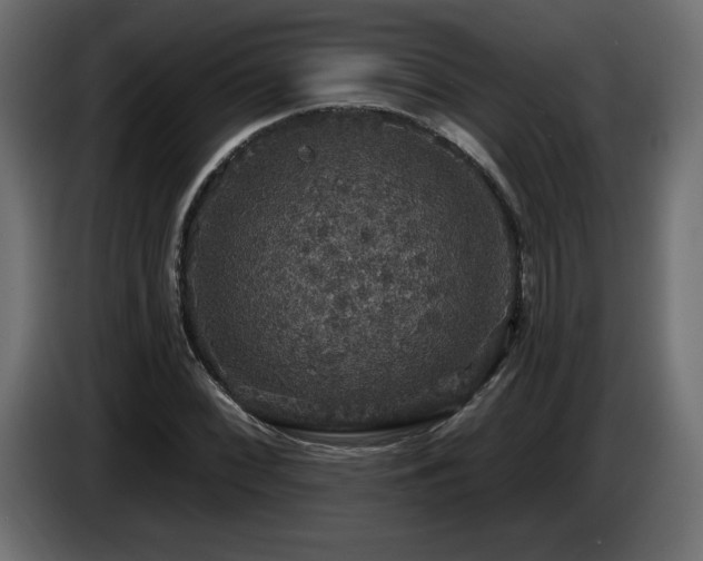 X0000086731068200704131101