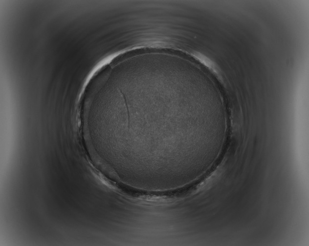 X0000086731070200704131101
