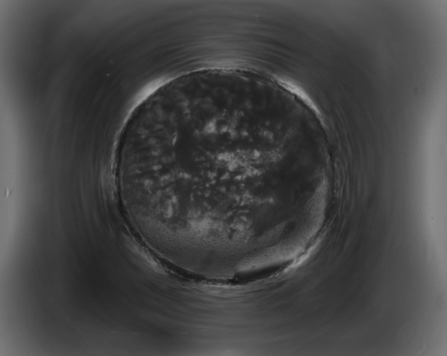 X0000086731071200704131101