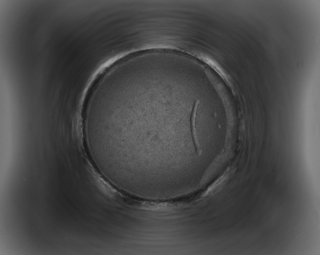X0000086731072200704131101