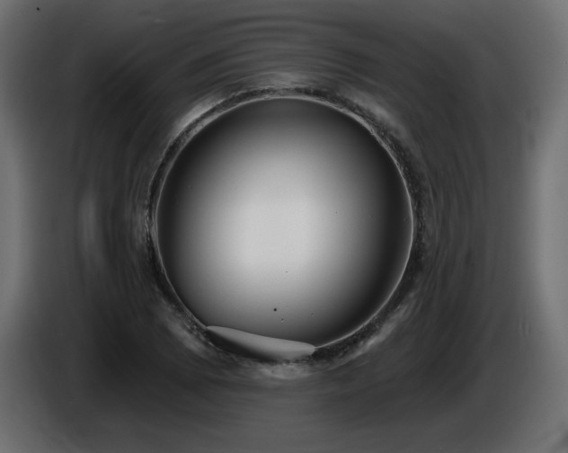 X0000086731073200704131101