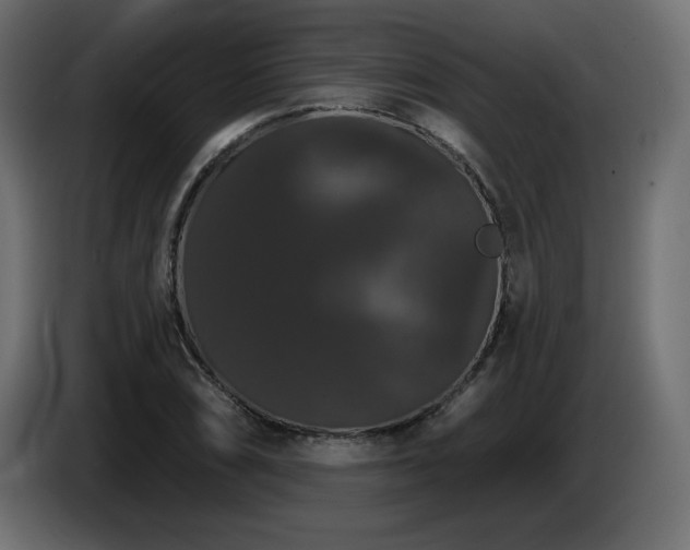 X0000086731074200704131101