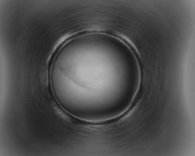 X0000086731075200704131101