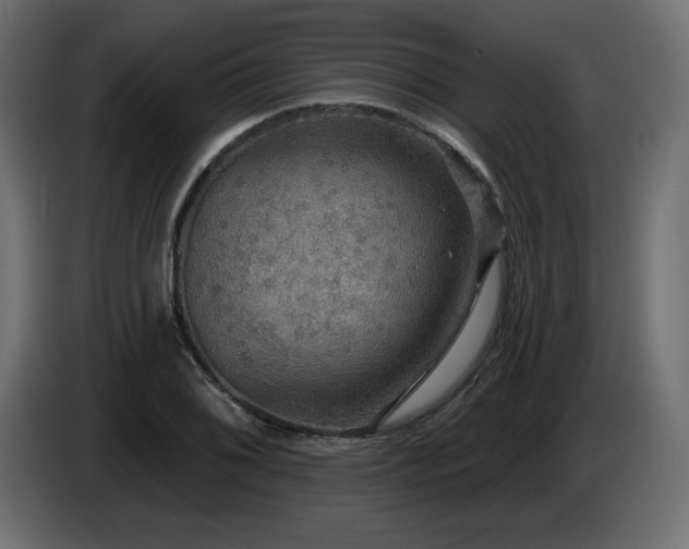 X0000086731076200704131101