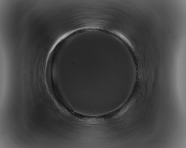 X0000086731077200704131101