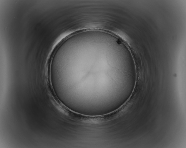 X0000086731078200704131101