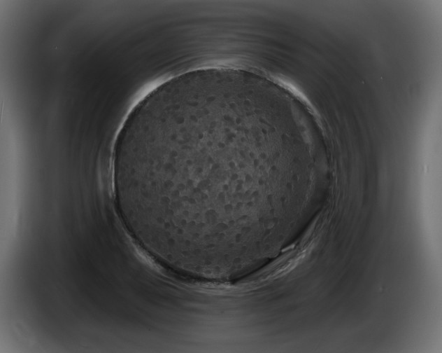 X0000086731079200704131101