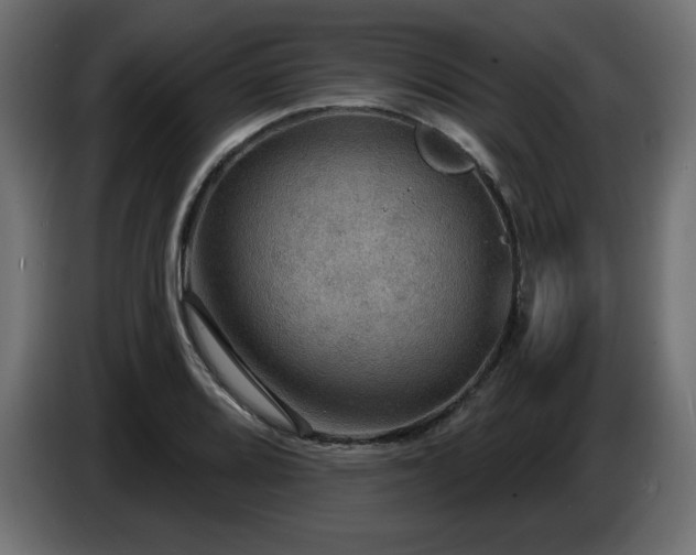 X0000086731080200704131101