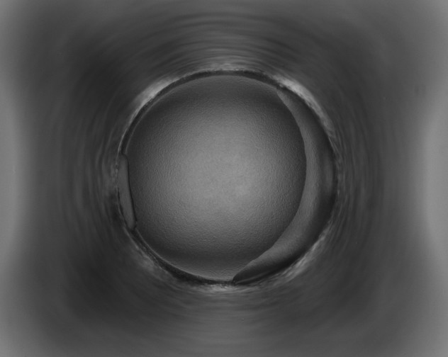 X0000086731081200704131101