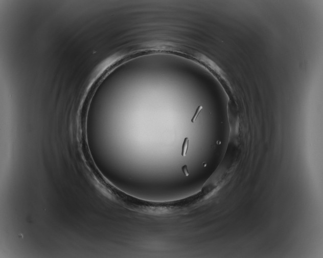 X0000086731082200704131101